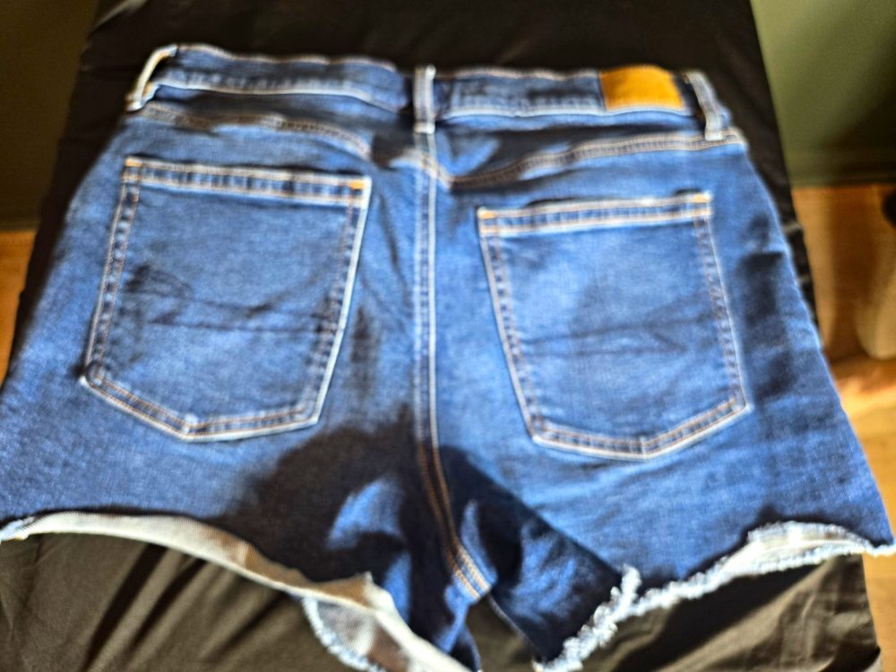 American Eagle 3pair of womens sz 10 Denim Shorts